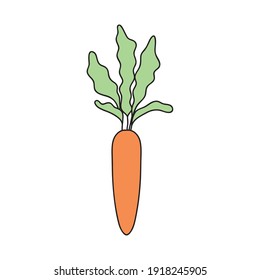carrot vegetable icon over white background, flat style, vector illustration