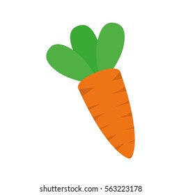 carrot vegetable icon over white background. colorful design. vector illustration