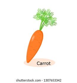 carrot vegetable icon vector.healthy  food.