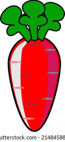 a carrot vegetable illustration vector