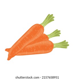 carrot vegetable ingredient fresh orange plant healthy cook product vegetarian salad diet vector cut