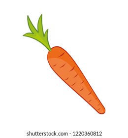 Carrot vegetable isolated vector icon. Single veggie with colorful stalk and leaves of root-crop, flat design in cartoon style, healthy organic food