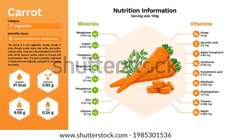 Carrot vegetable and its nutritional properties-Vector illustration