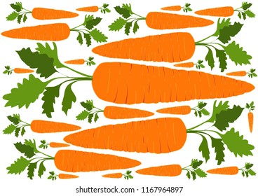 Carrot vegetable on white background 