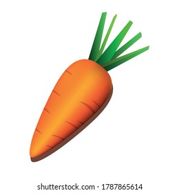 Carrot vegetable on white backround. Vector illustration. Healthy food concept. Vegan diet poster. bowling strike isolated on white backgroun