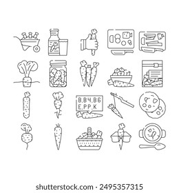 carrot vegetable orange food icons set vector. fresh green plant, healthy organic raw cut, leaf, root diet, garden salad nutrition carrot vegetable orange food black contour illustrations