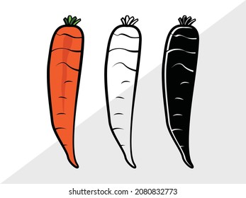 Carrot, Vegetable,  Printable Vector Illustration