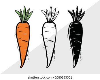 Carrot, Vegetable,  Printable Vector Illustration