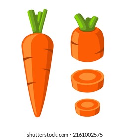 Carrot Vegetable Set on White Background. Vector