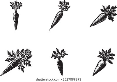 Cenoura Vegetal silhueta vetor ilustração.