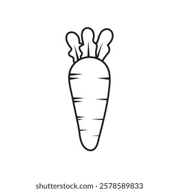 Carrot vegetable sketch in white stock line art