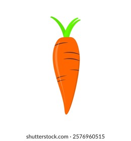 carrot. vegetable theme. vector illustration