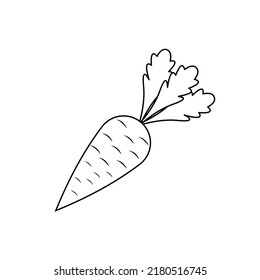 Carrot vegetable vector icon outline black EPS 10. Vegetarian flat illustration. Farm market product. Agriculture concept. Fresh healthy organic food..Crop concept for vegan. Isolated on white.