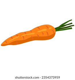 Carrot vegetable vector illustration in cartoon flat style isolated on white background. Healthy diet menu. 