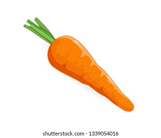 Carrot vegetable vector illustration isolated on white background