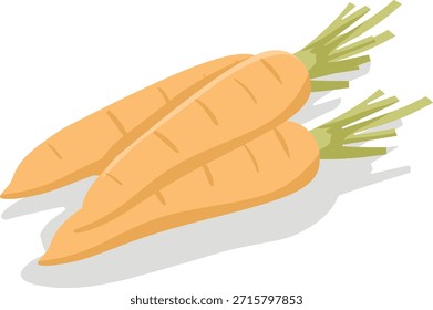 O vetor vegetal de cenoura é colocado em camadas de modo que é impressionante e se sente saudável