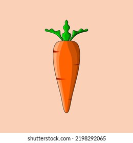 carrot vegetable vector on pink background