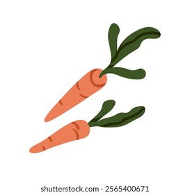 Carrot vegetables. Farm carotene food. Orange tuber with green top leaf. Organic natural vitamin healthy eating. Agriculture crop, harvest. Flat vector illustration isolated on white background