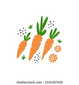 Carrot vegetables isolated on white background. Fresh root crops with green and slices. Vector illustration in hand drawn style.