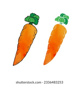 Carrot watercolor doodle cartoon vector with different styles of drawing.