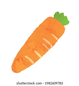 Carrot watercolor style illustration material