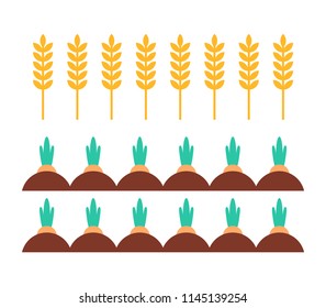 Carrot and wheat field farming plants growing in ground. Wheaten crops grain used to make bakery products. Vegetable with leaves isolated on vector