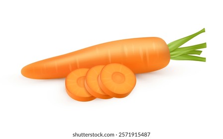 Carrot whole ingredient, isolated realistic slices for cooking dish. Vector organic natural product for dieting and nourishment. Cuisine products for healthy lifestyle, crunchy and sweet taste