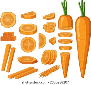 Carrot in whole and sliced pieces illustration