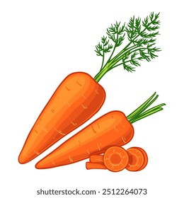 Carrot, whole and sliced, vector illustration isolated on white background, eps10