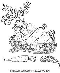 Zanahorias en una bolsa. Doodles, vector, ilustración en blanco y negro, libro de colorear para adultos y niños.