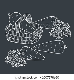 Carrots in basket. Cartoon vector hand drawn abstract illustration
