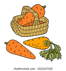 Carrots in basket. Cartoon vector hand drawn abstract illustration