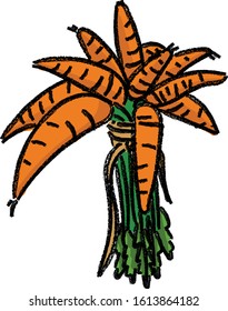 carrots bouquet,vegan concept,hand drawn vector illustration,vector