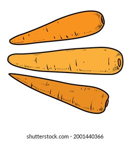 Carrots color variation for coloring page isolated on white background
