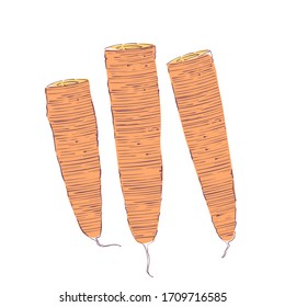Carrots, decorative design element. Vector illustration.
