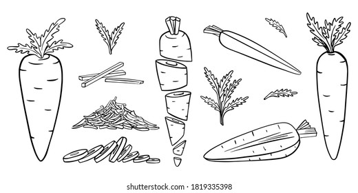 Carrots in Doodle style. Collection of hand-drawn vegetables. Whole, cut, sliced, grated, with leaves.Outline.Elements are isolated on white. For food packaging design.Black white vector illustration