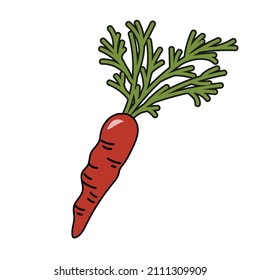 Zanahorias en forma de garabato. Gráficos vectoriales.