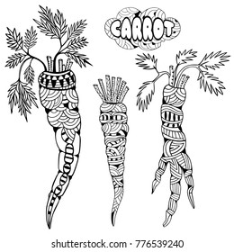 Carrots. Doodle and zentangle style. Hand drawn coloring book. Vector illustration.