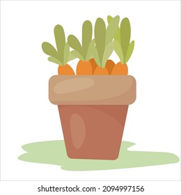 Carrots in a flower pot. Harvesting. Foods in a cartoon style. Vector illustration isolated on white background.
