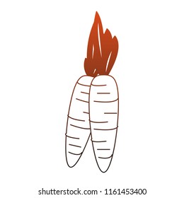 Carrots fresh vegetable red lines