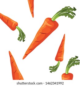 carrots fresh vegetable white background