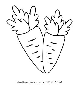 carrots fresh vegetables icon