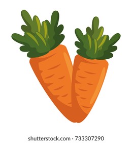 carrots fresh vegetables icon