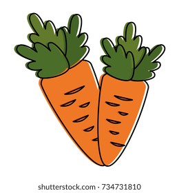 carrots fresh vegetables icon