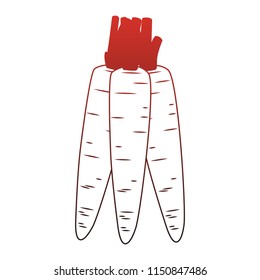 Carrots fresh vegetables red lines
