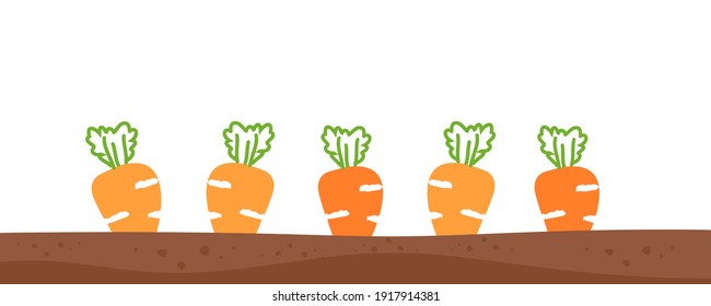 Carrots in the ground vector. Cute cartoon food.