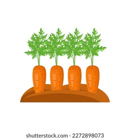 Carrots grow in the garden. Illustration in the flat style. Vector