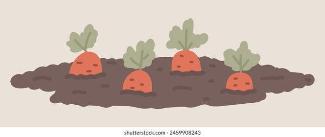 Carrots growing in garden soil in flat design. Vegetable farming process. Vector illustration isolated.