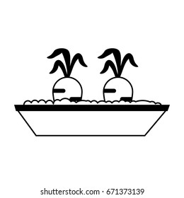 carrots growing in pot icon image 