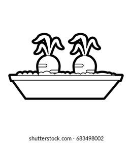 carrots growing in pot icon image
